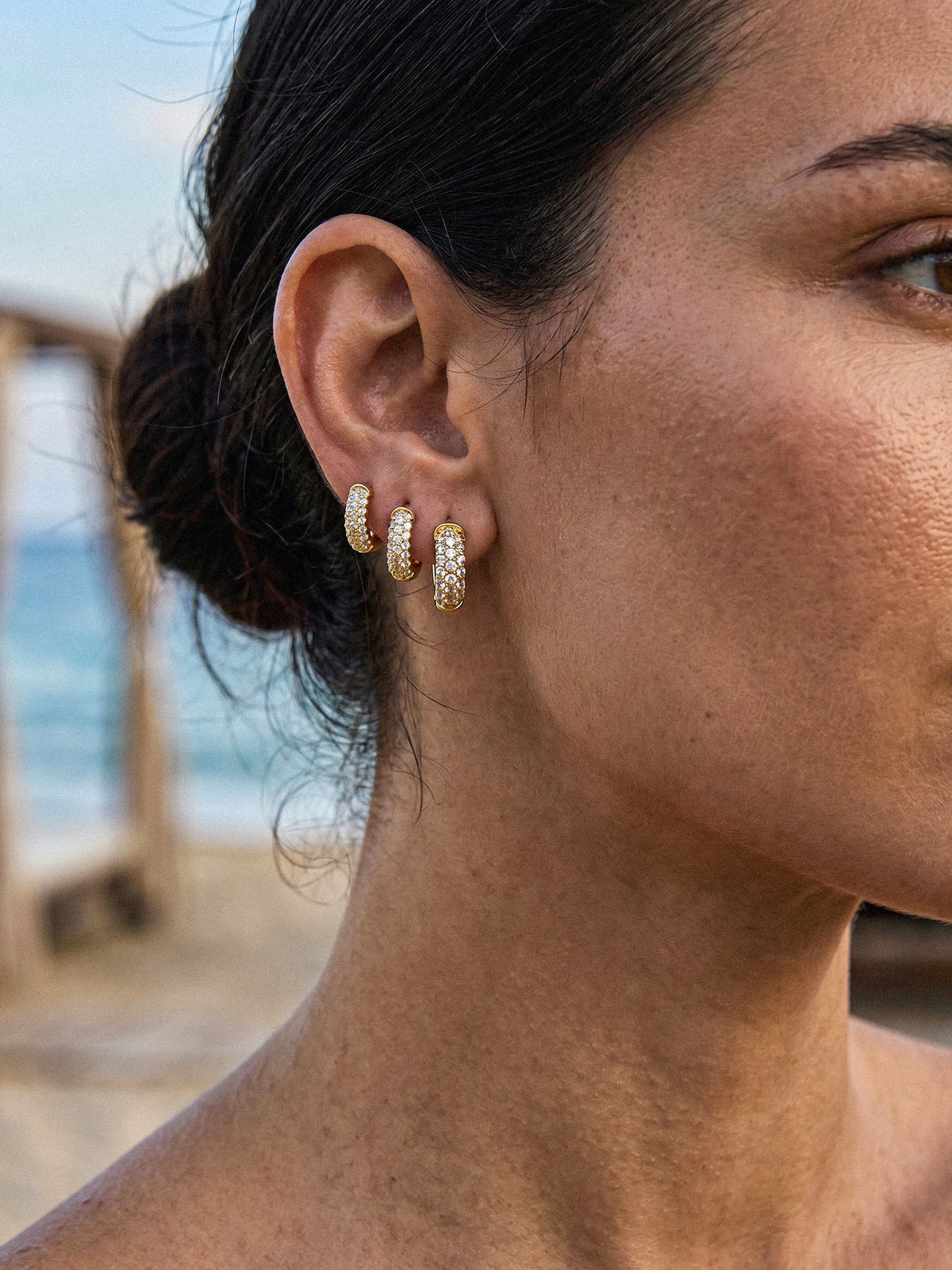 Alina-Pavé Hoops